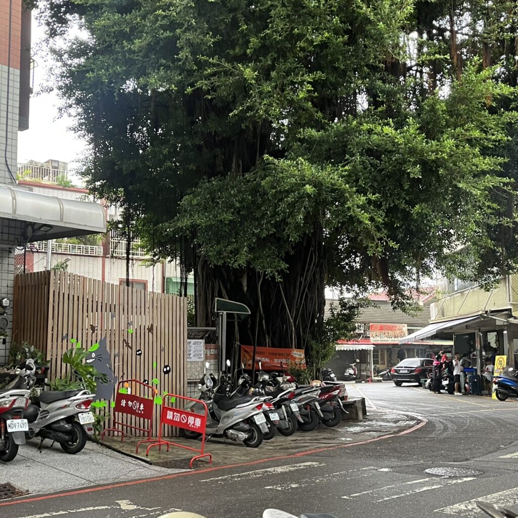 大型榕樹指示燈